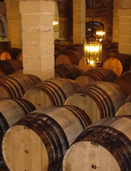 barricas the macallan whisky