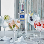 ¿Cuál es la mejor ginebra del mundo en 2025? Guía y ranking de expertos 2 Destilados Superiores Dónde se hace la ginebra Martin Miller