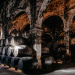 Descubriendo el mejor tequila de México: Una guía completa para elegir el tequila perfecto 3 Destilados Superiores Bodegas Brandy de Jerez