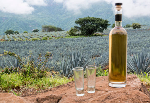 Tequila 100% agave azul