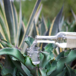 Ginebra Premium: ¿Vale la pena la inversión? 4 Destilados Superiores Los mejores tequilas de México 2025: ranking y guía para aficionados